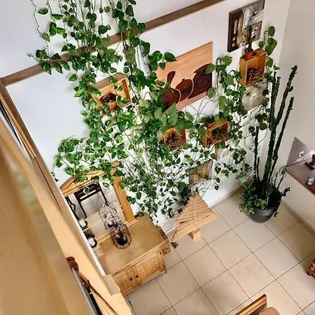 Au Moulin Maison Familiale *