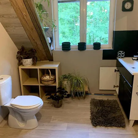 Au Moulin Maison Familiale Vakantiehuis La Broque