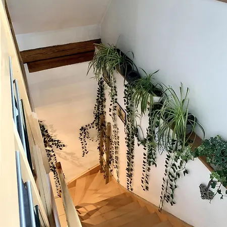 Feriehus Au Moulin Maison Familiale *